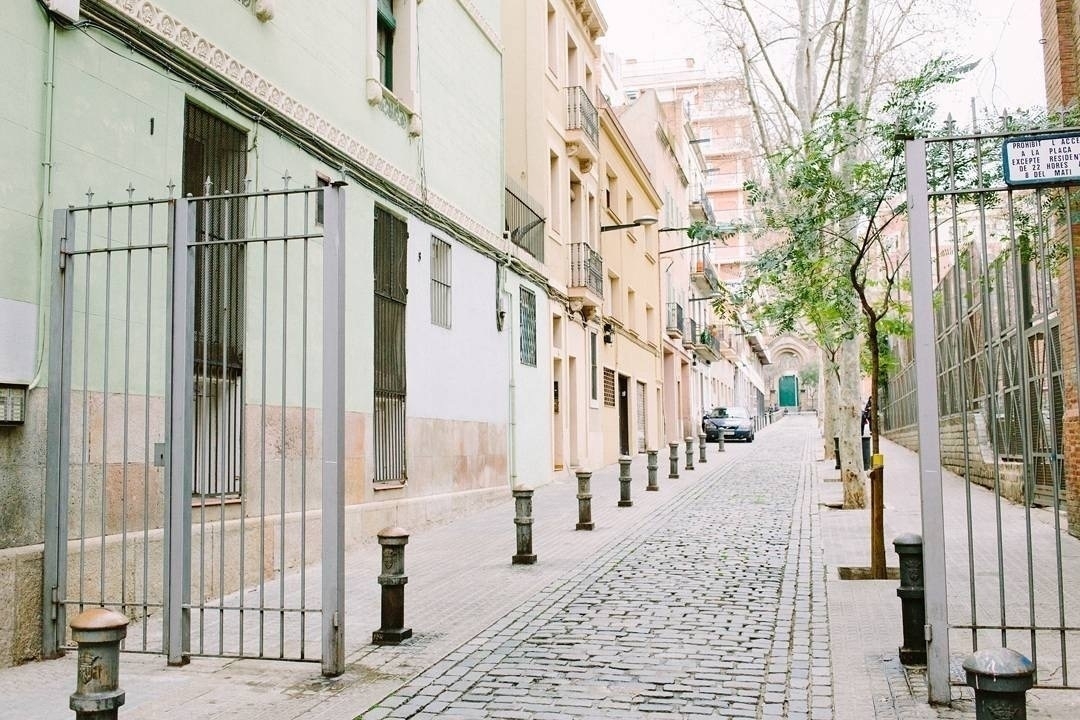 Auto-generated description: A narrow, cobblestone street lined with tall buildings and gated entrances extends into the distance, with trees and bollards on either side.