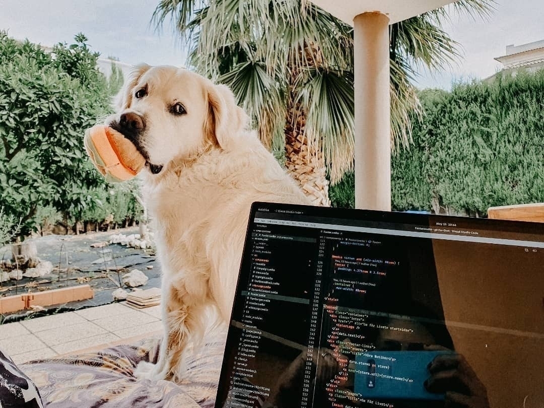 Astro with his little burger toy