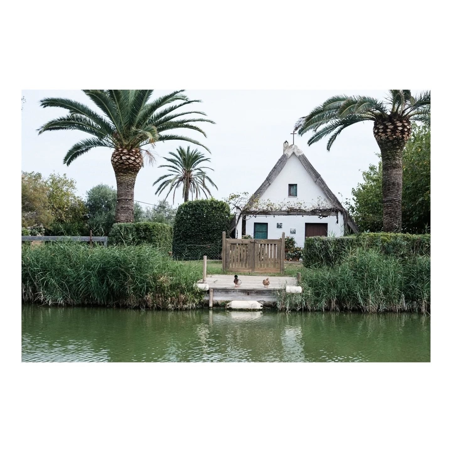 Auto-generated description: A quaint white house with a thatched roof is surrounded by palm trees and lush greenery, overlooking a small dock by the water.