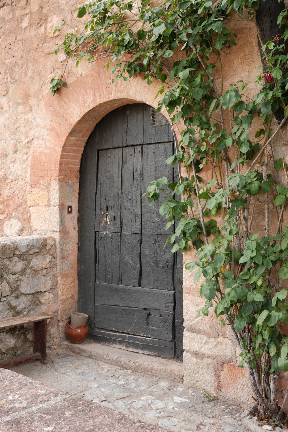 Auto-generated description: A rustic wooden door set in a stone wall is flanked by climbing greenery and a small bench.