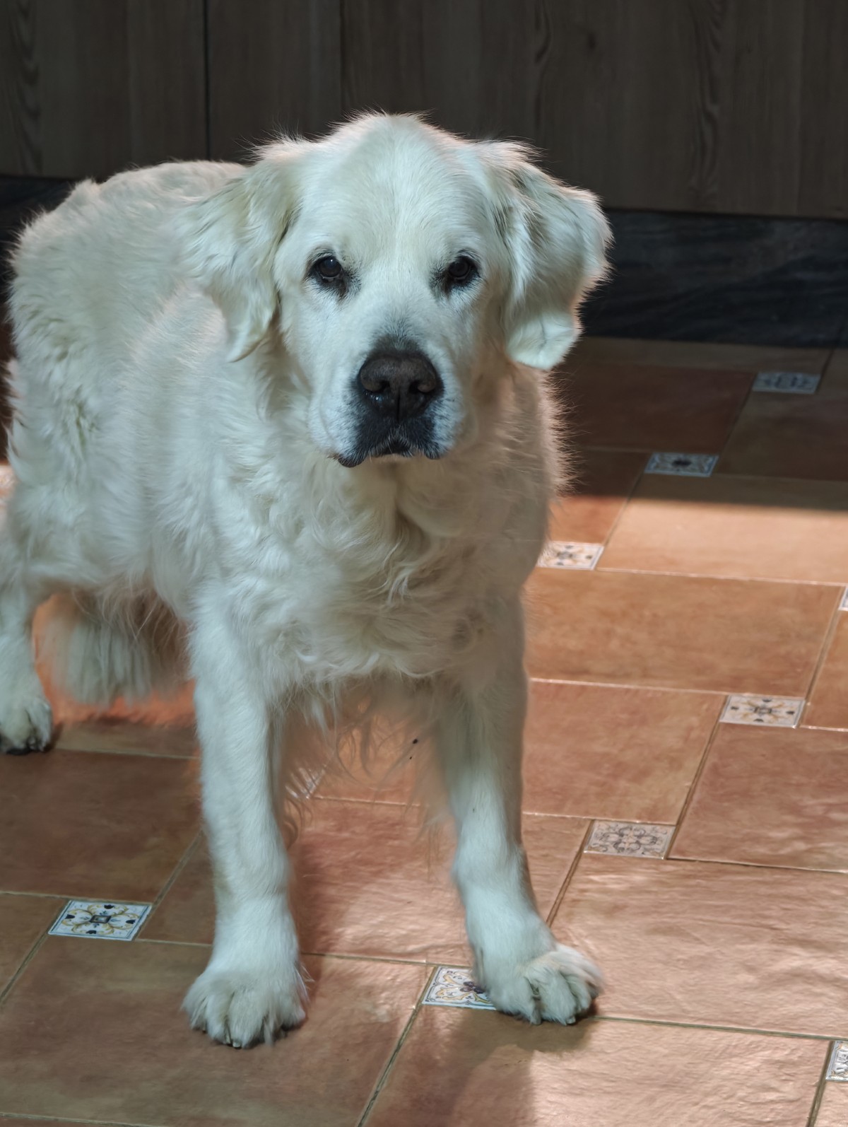Astro's last photo